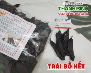 Mua bán trái bồ kết tại huyện mê linh có công dụng giúp tóc mượt óng ả