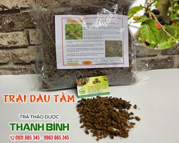 Trái dâu tằm [hình ảnh, tác dụng, cách dùng] mua ở đâu chất lượng nhất ?