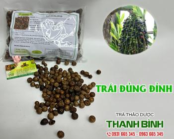 Cách sử dụng trái đủng đỉnh hỗ trợ lưu thông máu lên não an toàn nhất