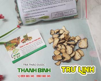 Mua bán trư linh ở quận bình thạnh giúp tăng cường chức năng đại tràng