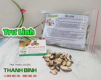 Mua trư linh ở đâu tại tphcm?