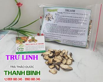 Mua bán trư linh tại đà nẵng có công dụng tốt cho đường tiết niệu