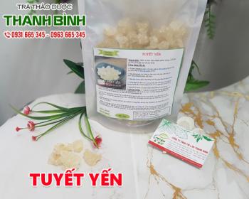 Tác dụng của tuyết yến trong điều trị máu nhiễm mỡ hiệu quả nhất