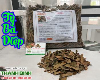 Mua bán tỳ bà diệp ở quận bình tân cung cấp vitamin cho cơ thể