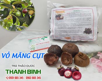 Mua bán vỏ măng cụt tại bắc kạn giúp tăng cường sức khỏe an toàn nhất