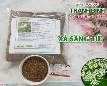 Mua bán xà sàng tử tại quận đống đa chữa bệnh liệt dương ở nam giới
