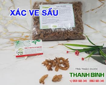 Mua bán xác ve tại quận 1 dùng hỗ trợ điều trị chứng co giật