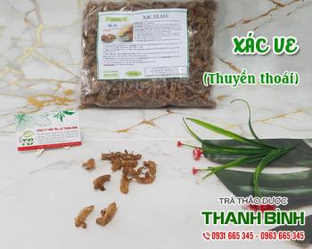 Mua bán xác ve tại huyện phúc thọ phòng ngừa huyết áp tăng đột ngột