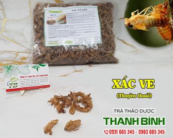 Mua bán xác ve tại bình thuận giúp điều trị chàm da an toàn nhất