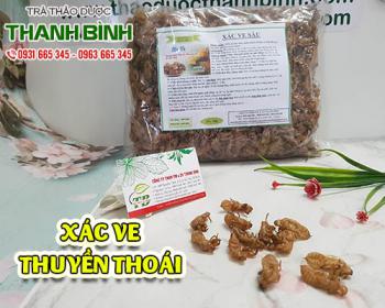 Mua xác ve (thuyền thoái) ở đâu tại tphcm ???