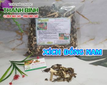 địa chỉ bán xích đồng nam tăng cường giải độc gan uy tín chất lượng nhất