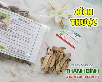 Những lợi ích từ xích thược mang lại cho sức khỏe