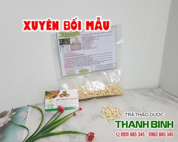 Mua bán xuyên bối mẫu tại quận 8 giúp điều trị viêm loét dạ dày tá tràng