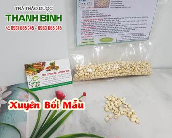 Xuyên bối mẫu [điều trị ho cách dùng] mua ở đâu giá rẻ?