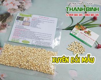 Mua xuyên bối mẫu ở đâu tại tphcm?