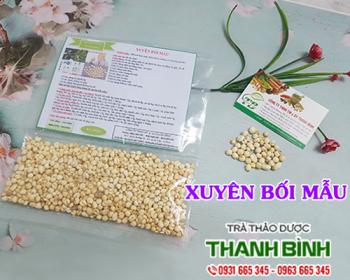 Mua bán xuyên bối mẫu tại hải dương có tác dụng giải độc tiêu viêm