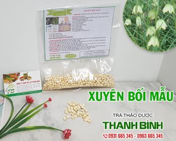 Mua bán xuyên bối mẫu tại quận tây hồ giúp lưu thông khí quản rất tốt