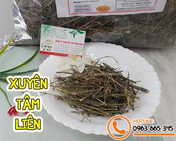 Mua xuyên tâm liên ở đâu tại tphcm ???