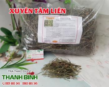 Mua bán xuyên tâm liên tại tphcm uy tín chất lượng tốt nhất