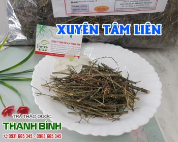 Mua bán xuyên tâm liên tại quận 11 giúp cải thiện hệ tiêu hóa tốt hơn