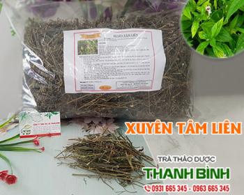 Mua bán xuyên tâm liên tại bình dương giúp điều trị viêm xoang rất tốt