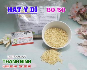 Tác dụng của hạt ý dĩ điều trị đau nhức xương khớp hiệu quả nhất