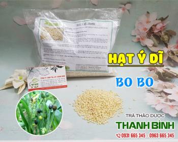 Mua bán hạt ý dĩ tại quận 3 có thể giúp thông tiểu rất tốt