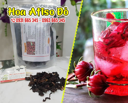 địa điểm bán cây bụp giấm tại hà nội giúp điều hòa huyết áp tốt nhất