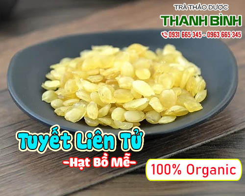 Mua bán tuyết liên tử tại quận 1 có tác dụng cung cấp đầy đủ chất dinh dưỡng