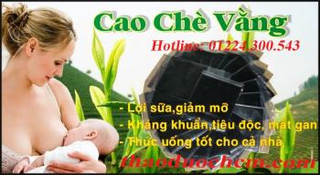 Mua bán cao chè vằng tại Quảng Ninh giúp điều trị viêm tuyến sữa tốt
