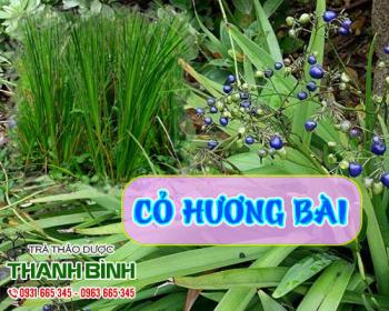 Mua bán cỏ hương bài ở quận Tân Bình nguyên liệu làm hương và nhang thắp
