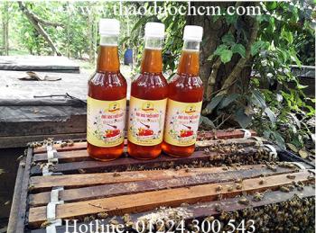 Mua bán mật ong rừng tại quận Hoàn Kiếm giảm chứng táo bón tốt nhất