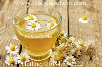 Mua bán trà hoa cúc khô tại Bình Thuận có tác dụng trị mờ mắt rất tốt