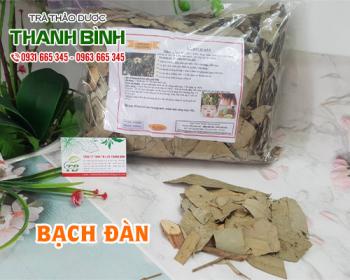Mua bán bạch đàn tại huyện Ứng Hòa giúp sát khuẩn vết thương ngoài da