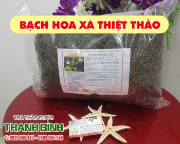 Mua bán bạch hoa xà thiệt thảo tại quận Ba Đình trị ung thư đại trực tràng