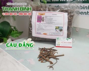 Mua bán câu đằng tại huyện Mê Linh có công dụng làm hạ sốt và co giật