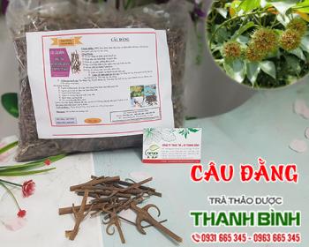 Mua bán câu đằng tại Bình Thuận giúp điều trị huyết áp cao hiệu quả nhất