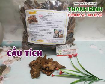 Mua bán cẩu tích ở quận Tân Phú giúp điều trị đau nhức các khớp rất tốt