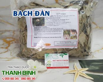 Mua bán bạch đàn ở quận Tân Phú giúp sát khuẩn vết thương ngoài da rất tốt