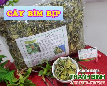 Mua bán cây bìm bịp ở quận Bình Tân có thể giúp lợi gan mật