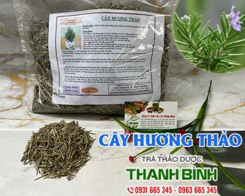 Mua bán cây hương thảo tại huyện Phú Xuyên có tác dụng làm dịu thần kinh