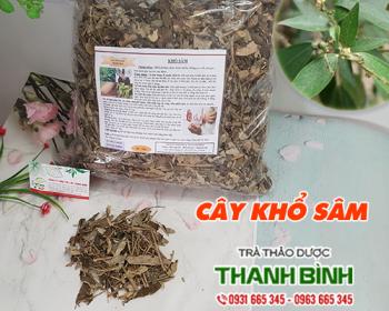 Mua bán cây khổ sâm tại Bình Định giúp điều trị vảy nến an toàn nhất