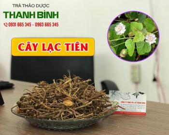 Mua bán cây lạc tiên tại quận Thanh Xuân có thể kháng viêm rất tốt