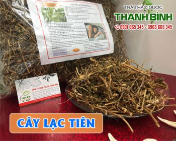 Mua bán cây lạc tiên tại huyện Thường Tín giúp điều trị viêm da rất tốt