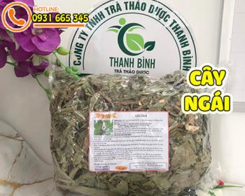 Mua bán cây ngái ở quận Tân Phú hỗ trợ điều trị nóng trong gây bí tiểu