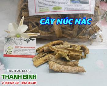 Mua bán cây núc nác ở quận Tân Phú có thể ngăn ngừa ung thư