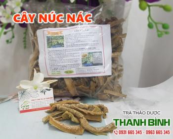 Mua bán cây núc nác ở quận Gò Vấp sử dụng để trị viêm phế quản
