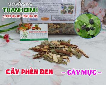 Mua bán cây phèn đen ở quận Tân Phú giúp điều trị đau gai cột sống rất tốt
