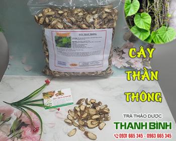 Mua bán cây thần thông tại huyện Thanh Trì giúp điều trị mẩn ngứa ngoài da