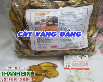 Mua bán cây vàng đắng ở quận Bình Tân có tác dụng giúp diệt Amip 